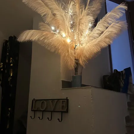 게스트하우스 Moncici House 포르토 토레스